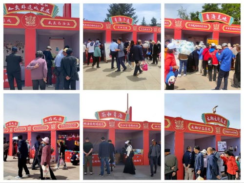 多彩非遺薈萃 傳統(tǒng)文化彰顯時代魅力——2023年青海省文化和自然遺產(chǎn)日暨非遺購物節(jié)圓滿落幕